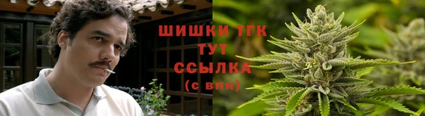 бошки Абаза