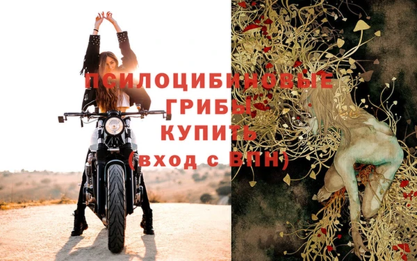 бошки Абаза