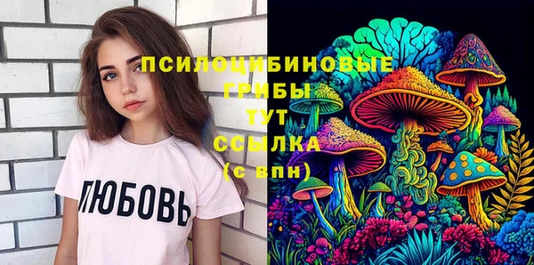 бошки Абаза