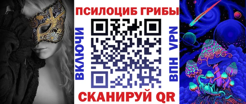как найти   Звенигород  это Telegram  Псилоцибиновые грибы Magic Shrooms 